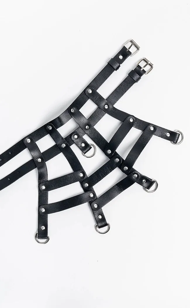 Caged In Neck Harness Choker