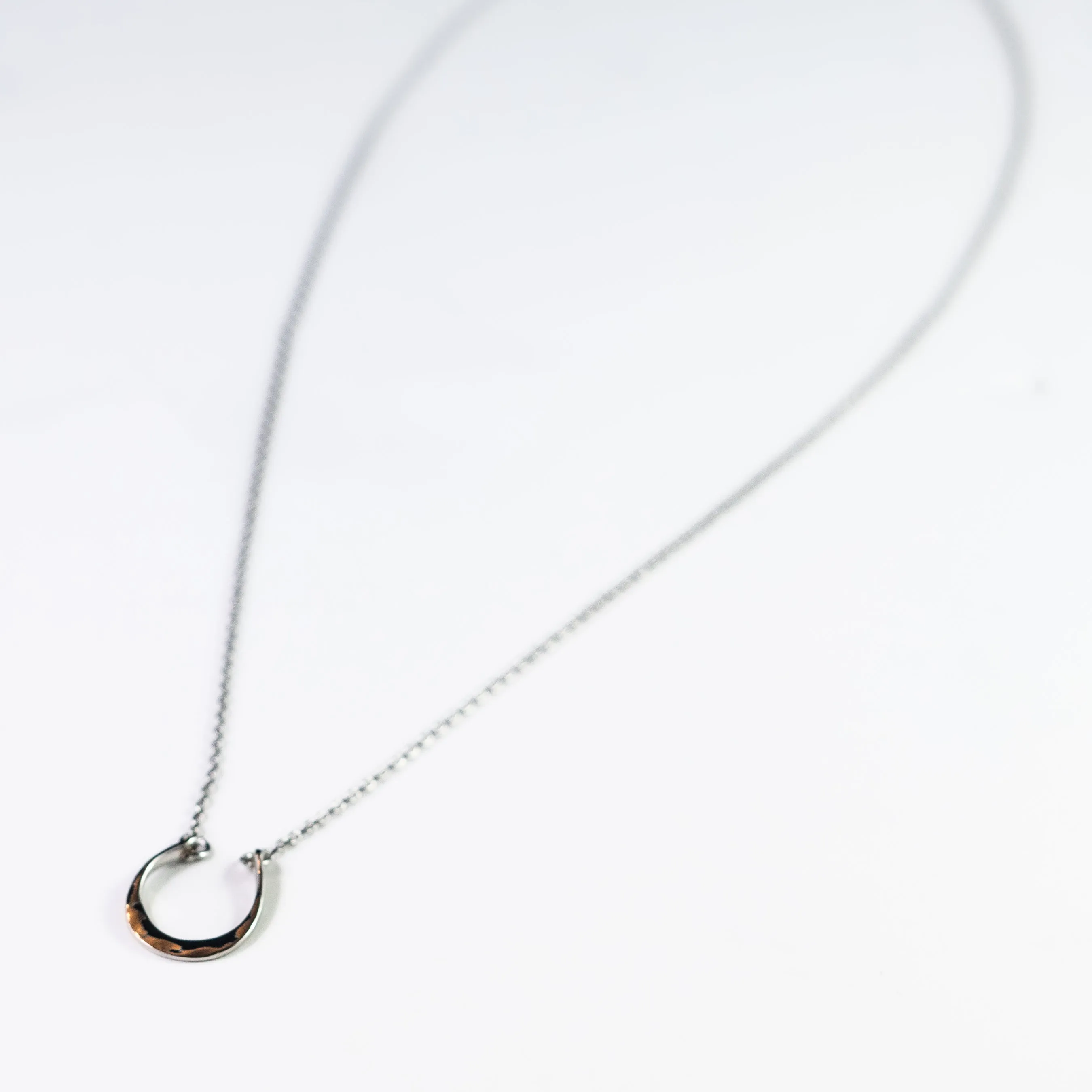 Horseshoe Necklace