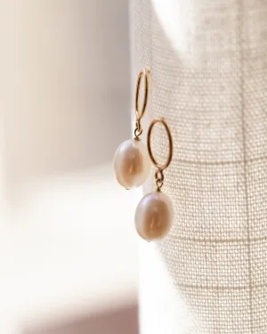 Oval Loop Pearl Drop Earrings